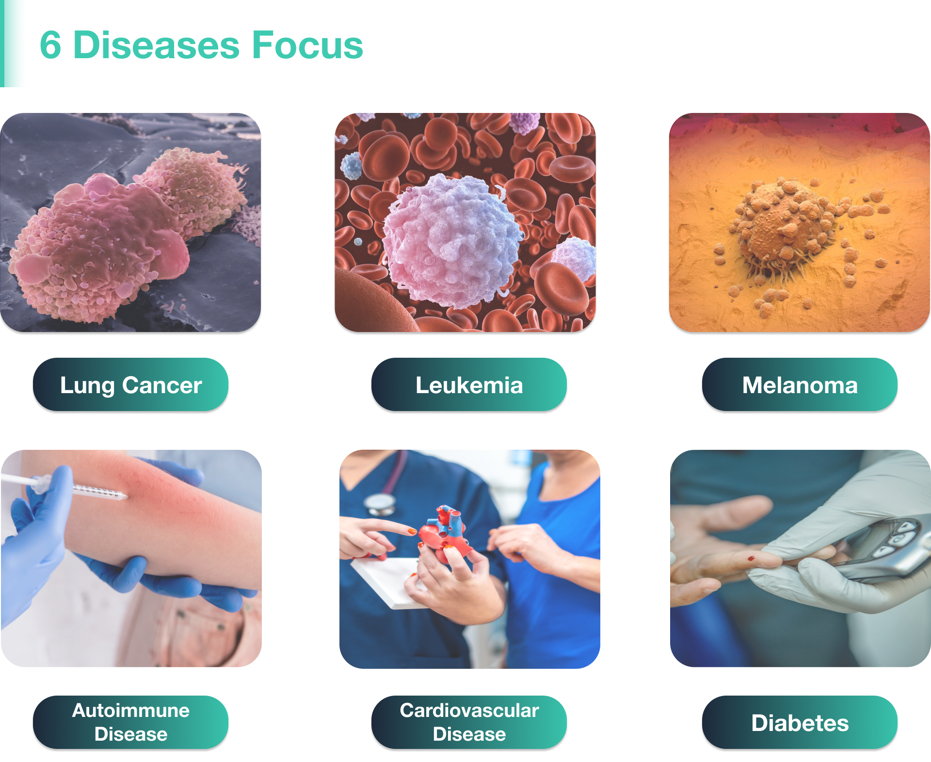 6 Diseases Focus - Lung Cancer, Leukemia, Melanoma, Autoimmune Disease, Cardiovascular Disease, Diabetes